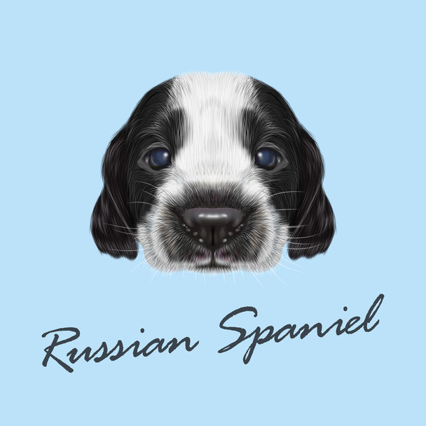 Vektör Illustrated portre Rus Spaniel köpek yavrusu. - Vektör, Görsel