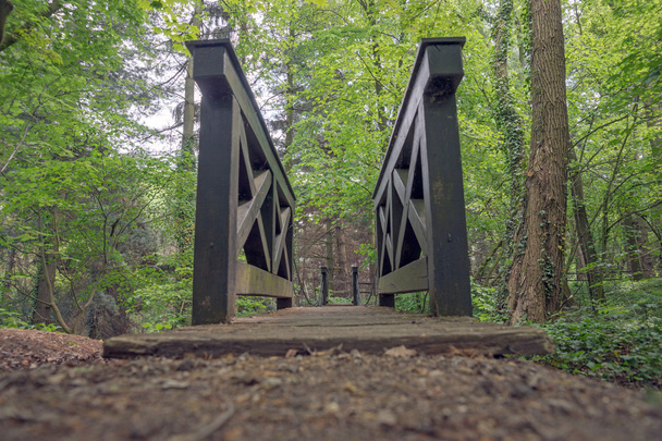 Jousitus puinen silta puistossa
 - Valokuva, kuva