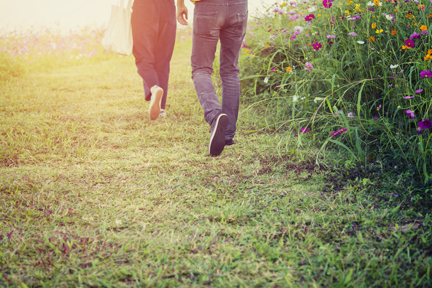 コスモス畑で歩く若いカップル - 写真・画像