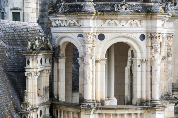The royal Chateau de Chambord - Zdjęcie, obraz