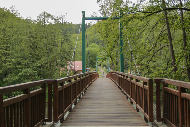 Green and wooden bridge - Photo, Image