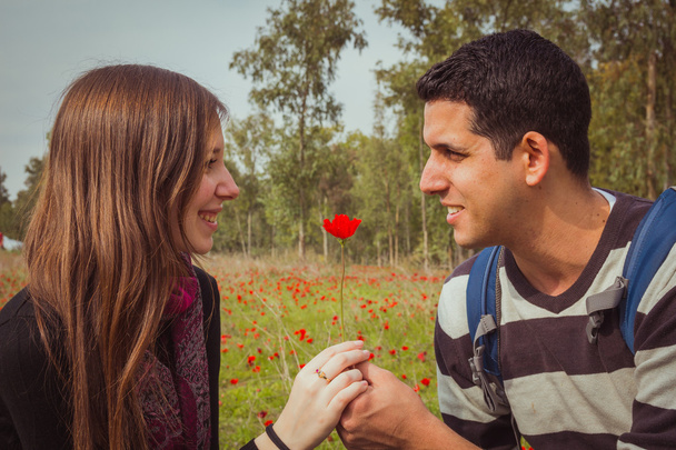 Mann gibt einer Frau eine einzelne rote Anemonenblume im Anemonenfeld - Foto, Bild