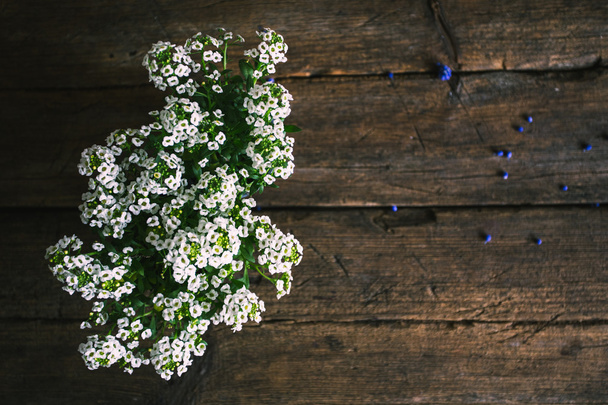 witte bloemen op de oude houten achtergrond - Foto, afbeelding