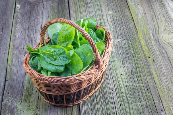 Fresh Spinach leaves in a wicker basket - Photo, Image