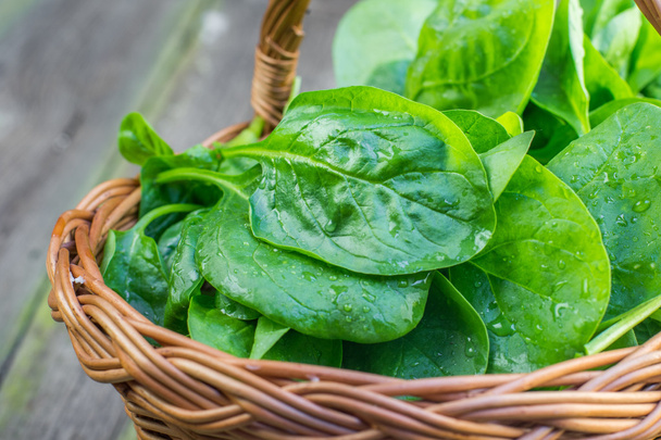 Detail on a Fresh Spinach leaves in a wicker basket - Photo, Image