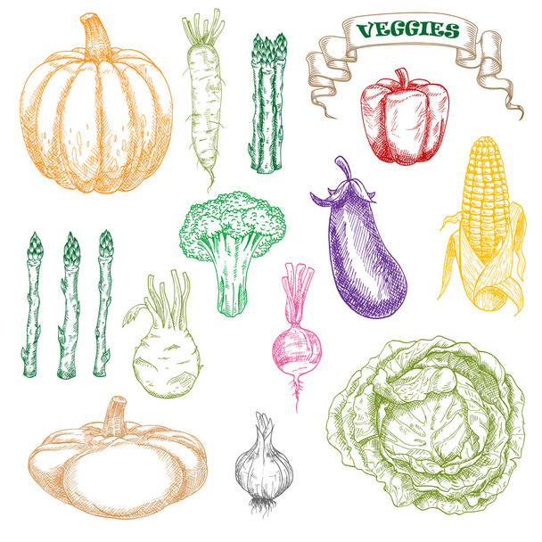 Värillinen luonnos terveellisistä ja tuoreista vihanneksista
 - Vektori, kuva