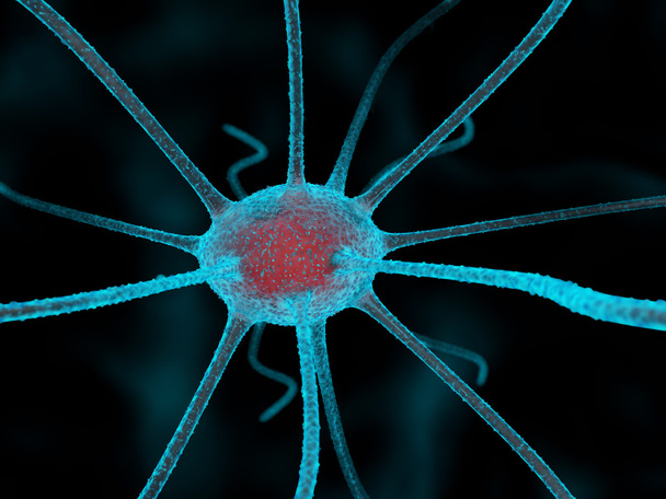 Brain cell 3D - Photo, Image