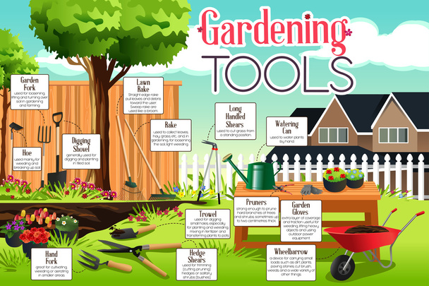 Herramientas de jardinería Infografía
 - Vector, imagen