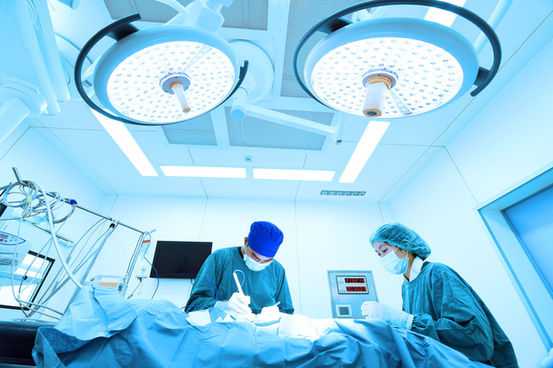 two veterinarian surgeons in operating room - Foto, immagini