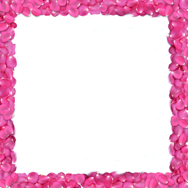 Rózsaszirmok keret - Fotó, kép