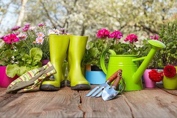 gardening tools on wooden table - Zdjęcie, obraz
