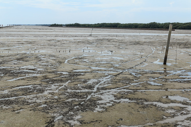 Θαλάσσιου τοπίου στο νερό άμπωτη - Φωτογραφία, εικόνα