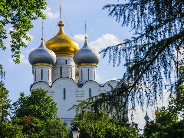 Novodevichy Convent. Smolensky Cathedral. Moscow - Zdjęcie, obraz