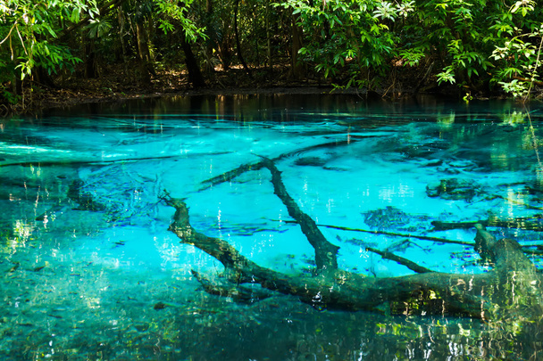 Nature incroyable, étang bleu dans la forêt. Krabi, Thaïlande
. - Photo, image