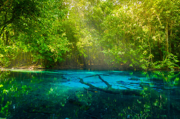 Increíble naturaleza, estanque azul en el bosque. Krabi, Tailandia
. - Foto, imagen