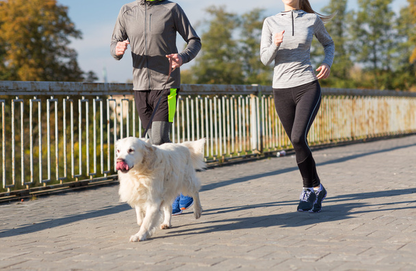 close up of couple with dog running outdoors - Photo, image