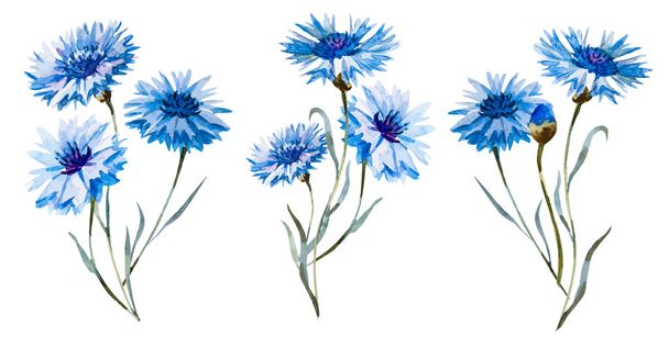 Cornflower watercolor set - Vector, Imagen