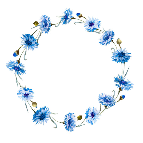 Cornflower watercolor wreath - Vector, imagen