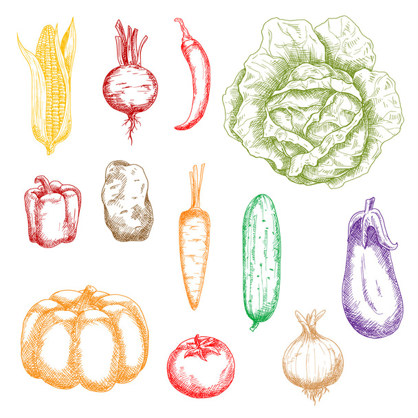 Autumnal ripe vegetables sketch icons - Vector, Image