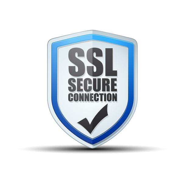 SSL güvenli bağlantı - Vektör, Görsel