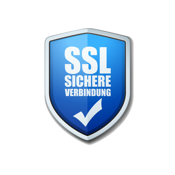 SSL güvenli bağlantı  - Vektör, Görsel