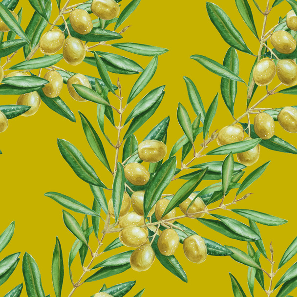 Arrière-plan branche d'olive. motif sans couture. aquarelle illustrati
 - Photo, image