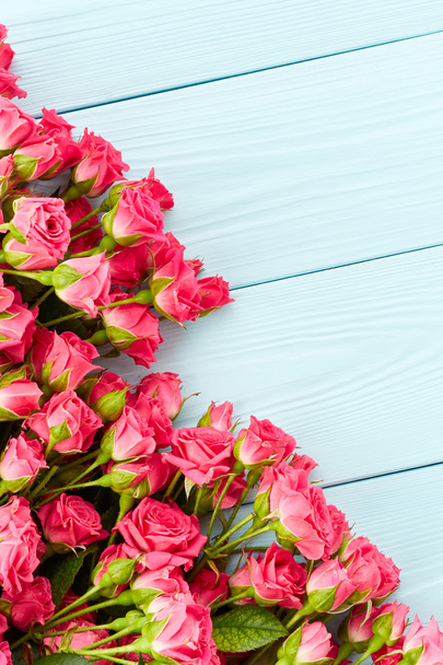 Beautiful Pink Roses - Foto, imagen