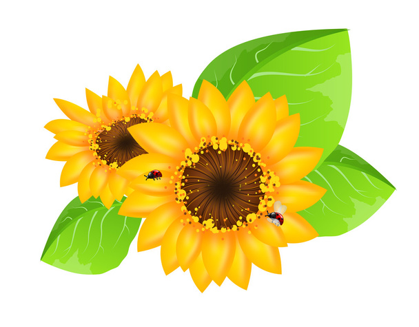Sonnenblumen-Dekoration mit Marienkäfern - Foto, Bild
