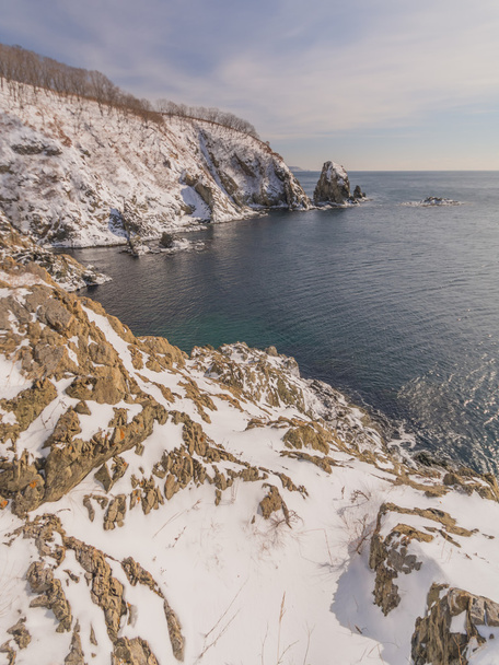 Winter on the sea shore - Fotografie, Obrázek