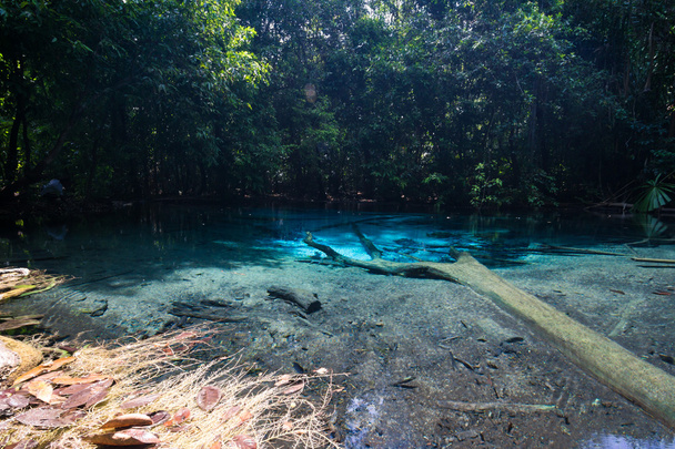 Piscina azul esmeralda en Krabi Tailandia, naturaleza increíble
 - Foto, imagen