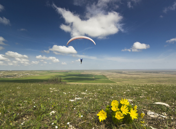 paraglider in sky with clouds and flowers on ground - Fotoğraf, Görsel