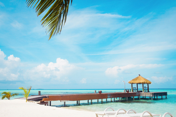 Beautiful beach landscape in the Maldives - Foto, Bild