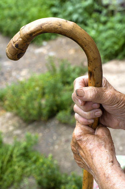 handen van een oude vrouw met een stok - Foto, afbeelding