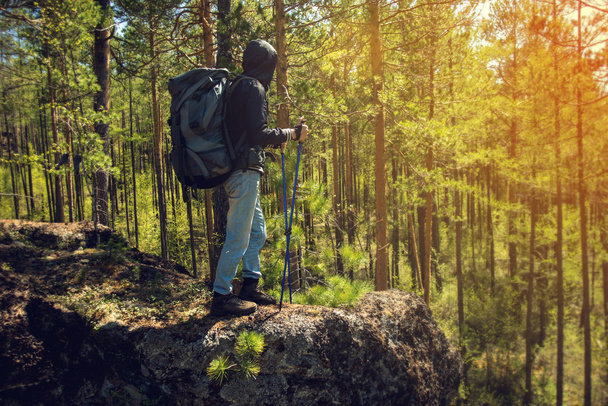 Hiker walking in a mountain forest - Photo, Image