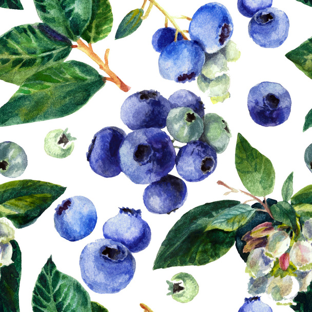 Pattern with blueberries. Watercolor on a white background - Zdjęcie, obraz