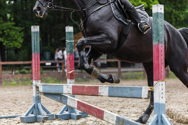 sportsman on horse overcomes barrier  - Фото, зображення
