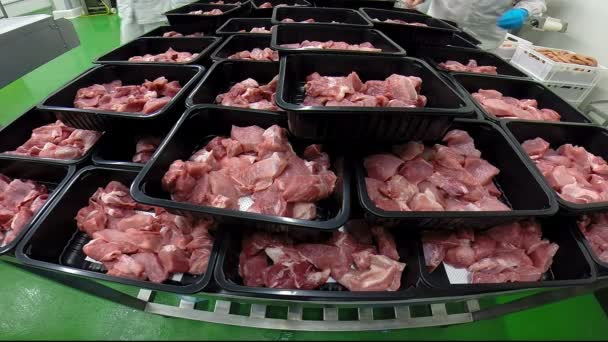 Boîtes avec tranches de viande fraîche dans une usine de transformation des aliments
 - Séquence, vidéo