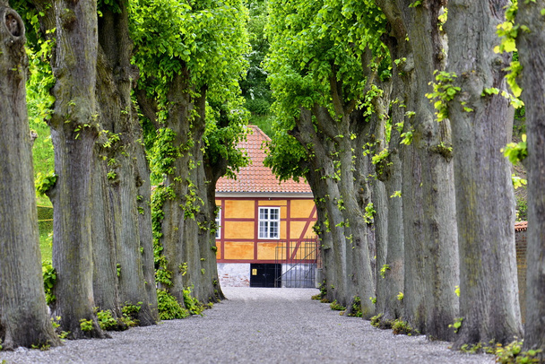 Marienlyst castle,Denmark  - Fotoğraf, Görsel