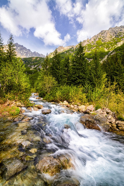 Horský potok v polské hory - Fotografie, Obrázek
