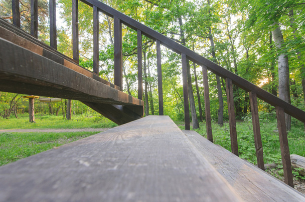 wooden Stairway in summer forest - Фото, зображення