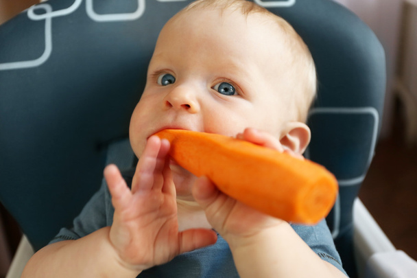 Baby eating carrot   - Фото, изображение