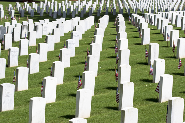 Военное кладбище с американскими флагами
 - Фото, изображение
