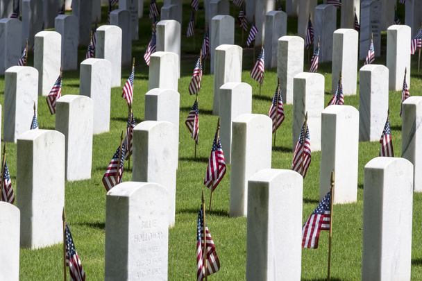 militaire begraafplaats met Amerikaanse vlaggen - Foto, afbeelding