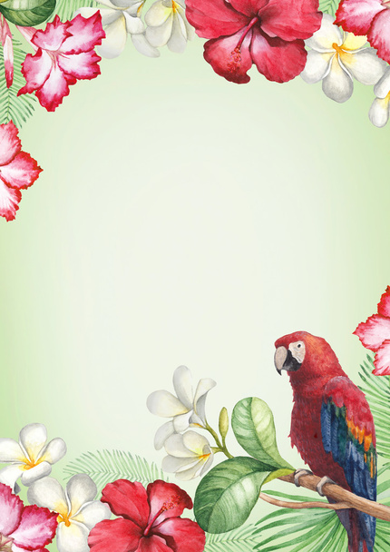 Tropical flowers and a bird card - Photo, image
