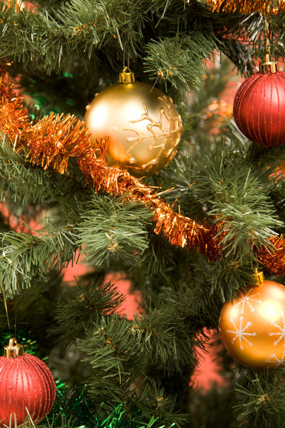 Vánoční stromek - Fotografie, Obrázek