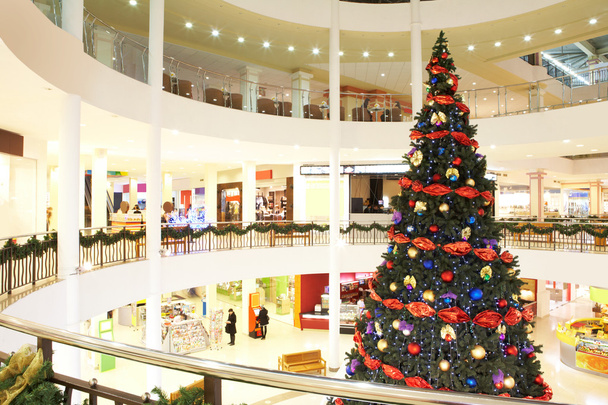 Firtree in the shopping center - Photo, Image