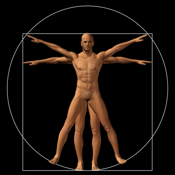  концептуальная пропорциональная анатомия
 - Фото, изображение