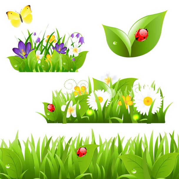 Flowers With Grass Butterfly And Ladybug - Wektor, obraz