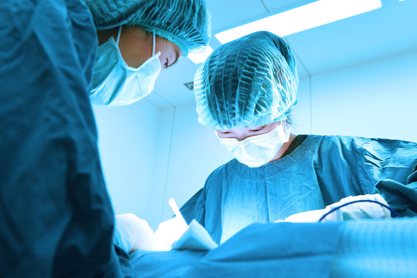 two veterinarian surgeons in operating room  - 写真・画像