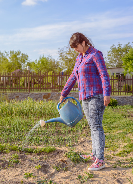 Приваблива жінка поливає пересаджену розсаду
 - Фото, зображення